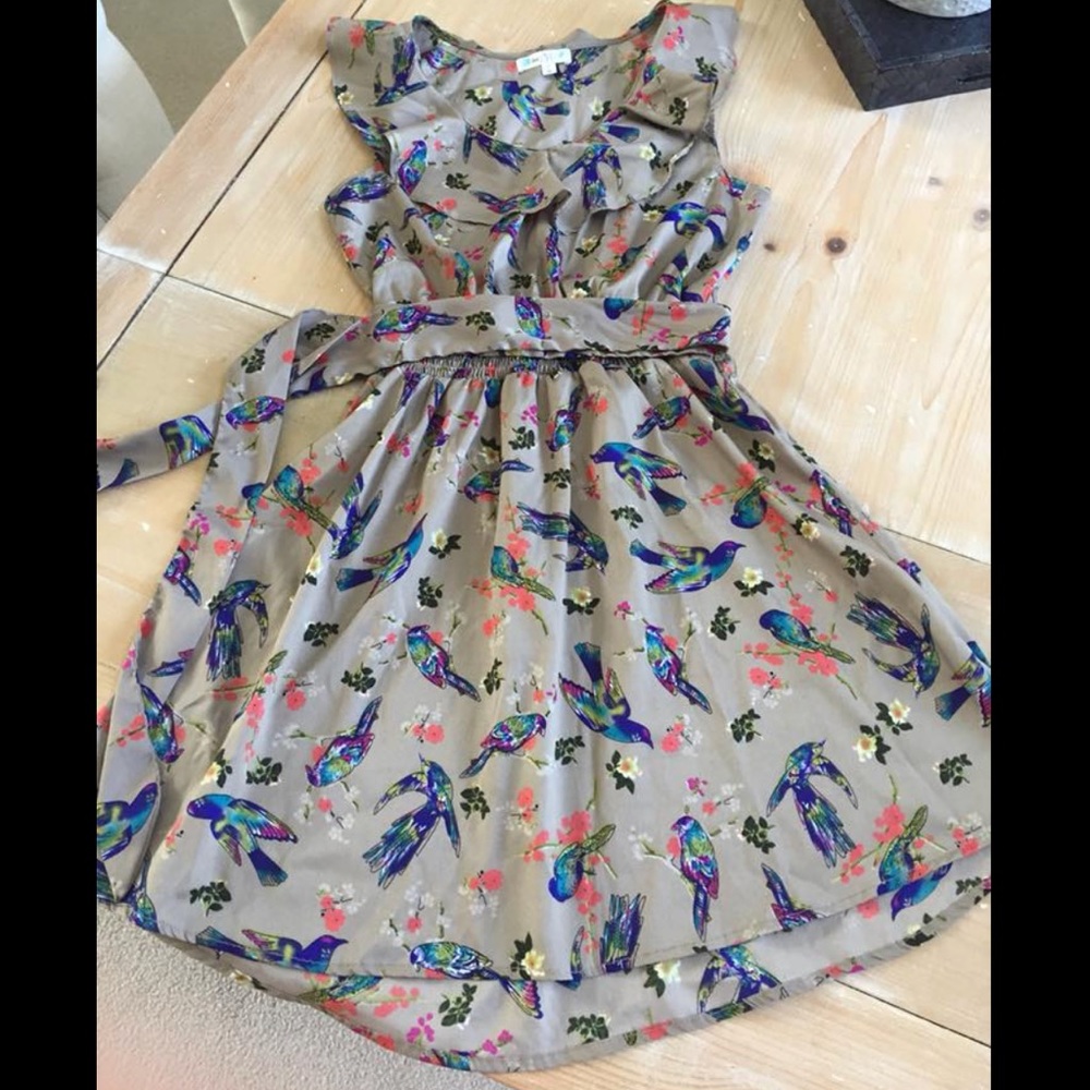 Love Fire Dress